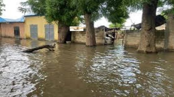 Mesures préventives contre les maladies hydriques suite aux inondations